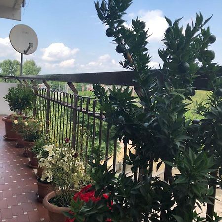 Venice H.S.Garden Μαργκέρα Εξωτερικό φωτογραφία