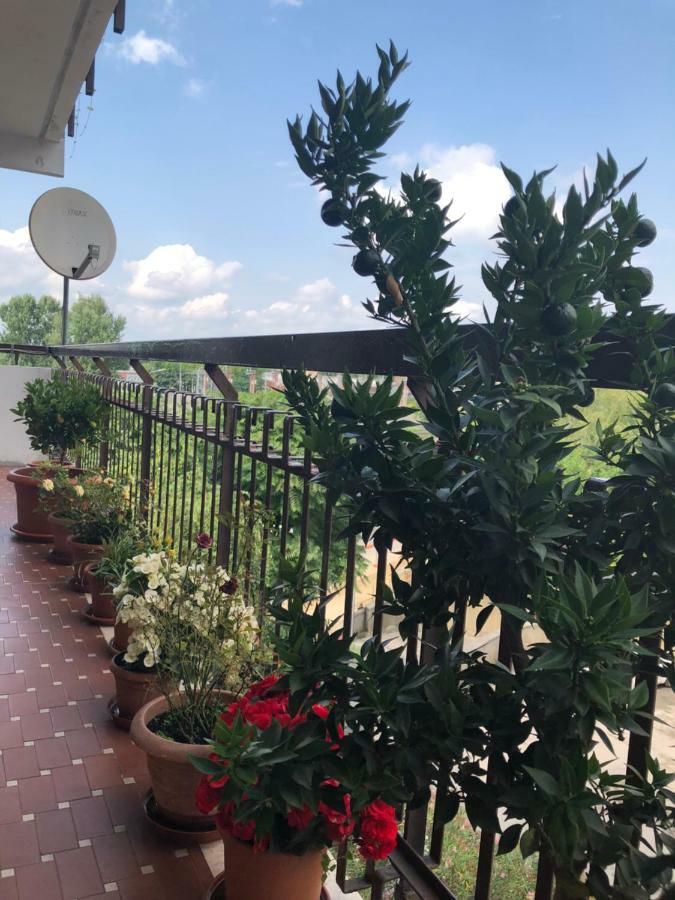 Venice H.S.Garden Μαργκέρα Εξωτερικό φωτογραφία